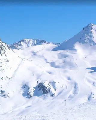 Eski alpinoa