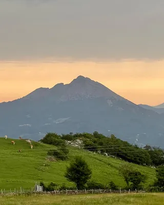Udalatxera igoera