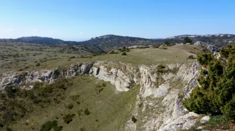 Arkamu mendilerroa